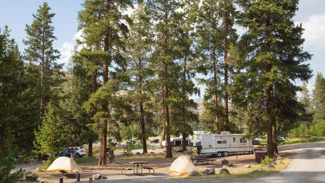 Family-friendly campground with tents, picnic tables, and tall pine trees under a clear sky.