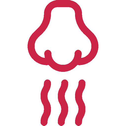 Stylized red nose with three scent lines beneath, indicating smell or sniffing.